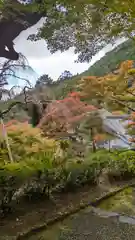 善峯寺(京都府)