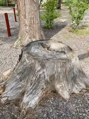 山越諏訪神社(北海道)