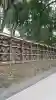 明治神宮の{uncategorized: "未分類", other: "その他", undefined: "問題あり", building: "その他建物", grave: "お墓", sacred_gate: "鳥居", guardian: "狛犬", statue: "像", buddha: "仏像", history: "歴史", nature: "自然", garden: "庭園", animal: "動物", pagoda: "塔", temizu: "手水舎", mountain_gate: "山門・神門", sanctuary: "本殿・本堂", subordinate: "末社・摂社", art: "芸術", scenery: "景色", jizo: "地蔵", ema: "絵馬", goshuin: "御朱印", omikuji: "おみくじ", items: "授与品その他", amulet: "お守り", goshuincho: "御朱印帳", eats: "食事", festival: "お祭り", votive_dance: "神楽", shichigosan: "七五三参", wedding: "結婚式", experience: "体験その他", initially: "初詣", around: "周辺", anti_infection: "感染症対策"}