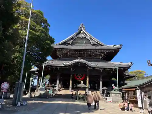 豊川閣　妙厳寺の本殿・本堂
