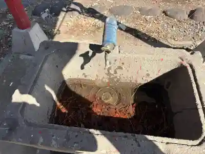 簗瀬 稲荷神社の{uncategorized: "未分類", other: "その他", undefined: "問題あり", building: "その他建物", grave: "お墓", sacred_gate: "鳥居", guardian: "狛犬", statue: "像", buddha: "仏像", history: "歴史", nature: "自然", garden: "庭園", animal: "動物", pagoda: "塔", temizu: "手水舎", mountain_gate: "山門・神門", sanctuary: "本殿・本堂", subordinate: "末社・摂社", art: "芸術", scenery: "景色", jizo: "地蔵", ema: "絵馬", goshuin: "御朱印", omikuji: "おみくじ", items: "授与品その他", amulet: "お守り", goshuincho: "御朱印帳", eats: "食事", festival: "お祭り", votive_dance: "神楽", shichigosan: "七五三参", wedding: "結婚式", experience: "体験その他", initially: "初詣", around: "周辺", anti_infection: "感染症対策"}