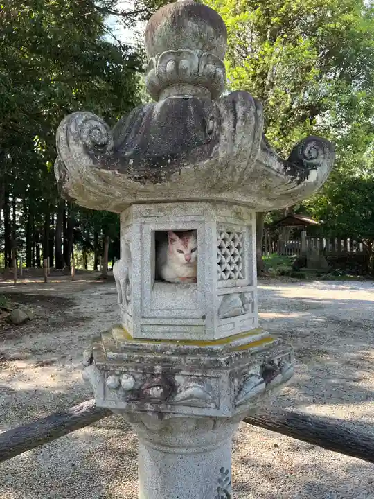 出雲伊波比神社(埼玉県)