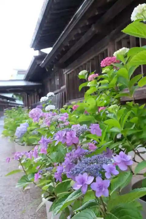 十日恵比須神社(福岡県)