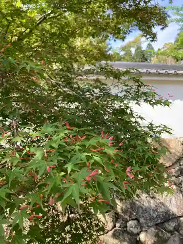 一乗寺(兵庫県)