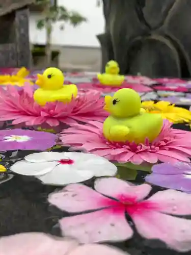 多聞寺の手水舎