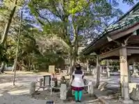 春日神社の自然