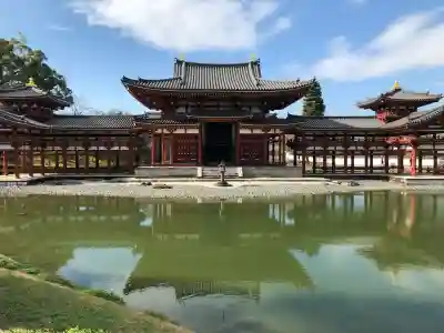 平等院の{uncategorized: "未分類", other: "その他", undefined: "問題あり", building: "その他建物", grave: "お墓", sacred_gate: "鳥居", guardian: "狛犬", statue: "像", buddha: "仏像", history: "歴史", nature: "自然", garden: "庭園", animal: "動物", pagoda: "塔", temizu: "手水舎", mountain_gate: "山門・神門", sanctuary: "本殿・本堂", subordinate: "末社・摂社", art: "芸術", scenery: "景色", jizo: "地蔵", ema: "絵馬", goshuin: "御朱印", omikuji: "おみくじ", items: "授与品その他", amulet: "お守り", goshuincho: "御朱印帳", eats: "食事", festival: "お祭り", votive_dance: "神楽", shichigosan: "七五三参", wedding: "結婚式", experience: "体験その他", initially: "初詣", around: "周辺", anti_infection: "感染症対策"}