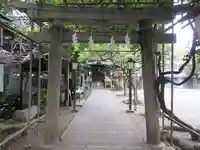 千住本氷川神社の鳥居