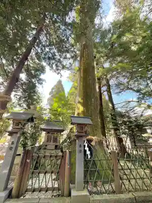 若宮神社(滋賀県)