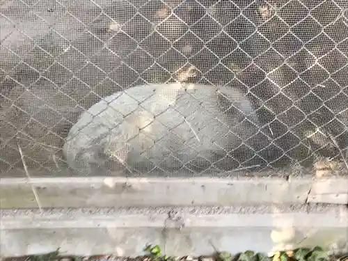 和気神社の動物