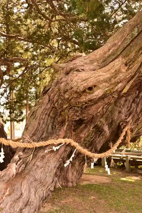 寶生院(香川県)