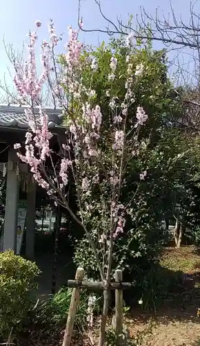比佐豆知神社(三重県)