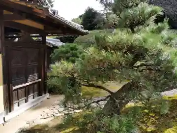慈光院の{uncategorized: "未分類", other: "その他", undefined: "問題あり", building: "その他建物", grave: "お墓", sacred_gate: "鳥居", guardian: "狛犬", statue: "像", buddha: "仏像", history: "歴史", nature: "自然", garden: "庭園", animal: "動物", pagoda: "塔", temizu: "手水舎", mountain_gate: "山門・神門", sanctuary: "本殿・本堂", subordinate: "末社・摂社", art: "芸術", scenery: "景色", jizo: "地蔵", ema: "絵馬", goshuin: "御朱印", omikuji: "おみくじ", items: "授与品その他", amulet: "お守り", goshuincho: "御朱印帳", eats: "食事", festival: "お祭り", votive_dance: "神楽", shichigosan: "七五三参", wedding: "結婚式", experience: "体験その他", initially: "初詣", around: "周辺", anti_infection: "感染症対策"}