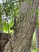 三吉神社(置戸神社境内社)(北海道)