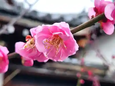 長洲天満宮の自然