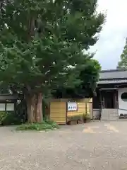 日枝神社の食事
