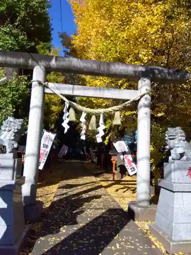 武蔵野神社の鳥居