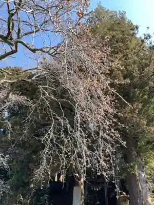 北野神社(福島県)