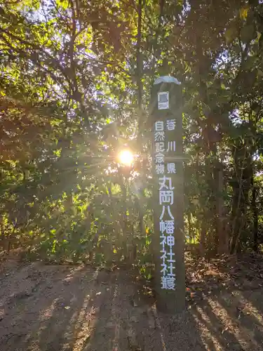 氷上八幡神社の自然