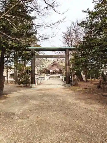 信濃神社の鳥居