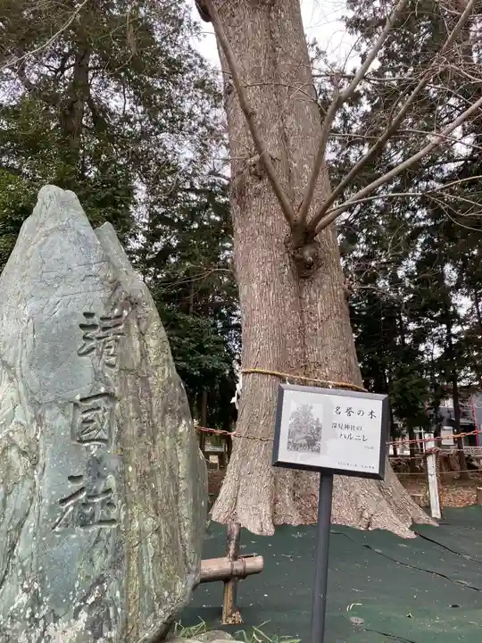 深見神社(神奈川県)