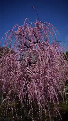 城南宮(京都府)