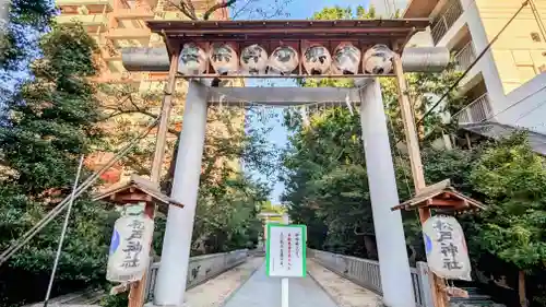 松戸神社の鳥居