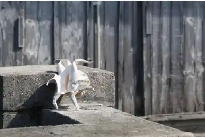 大神島・大神神社(沖縄県)