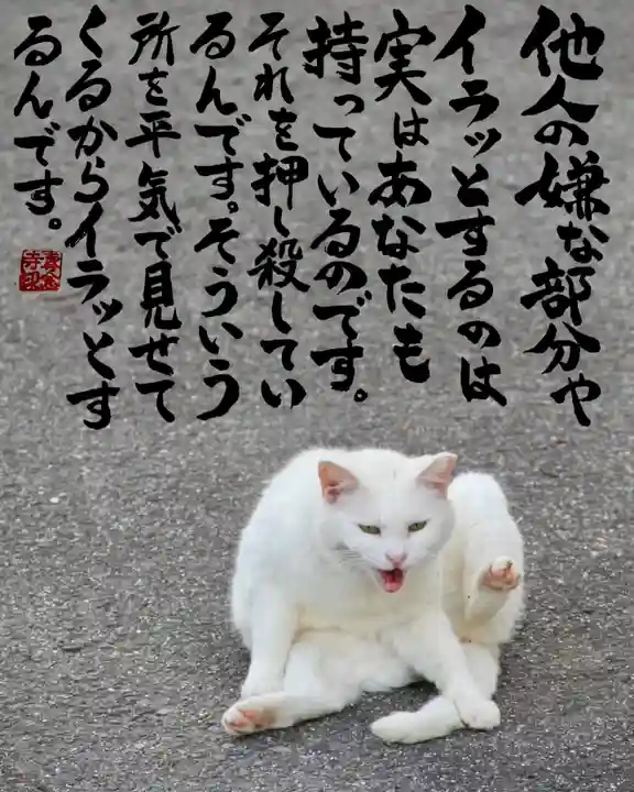 専念寺(大阪府)