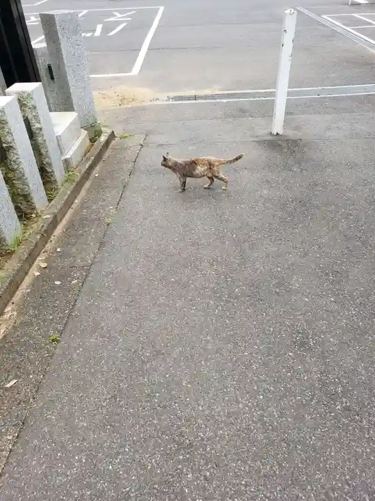 成田山新勝寺(千葉県)