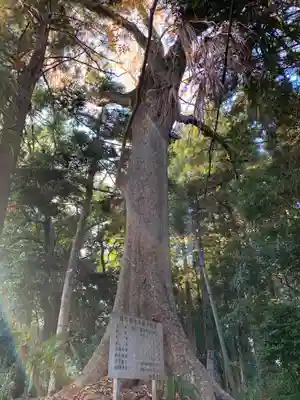 朝日神社の自然