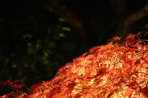 円通院(宮城県)