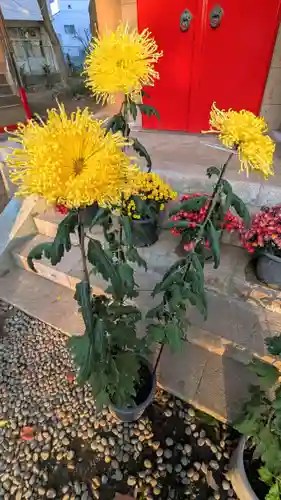 前原御嶽神社の自然