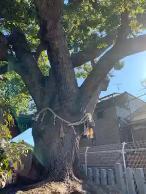 阿保神社(大阪府)