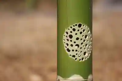 国宝 大法寺のその他建物