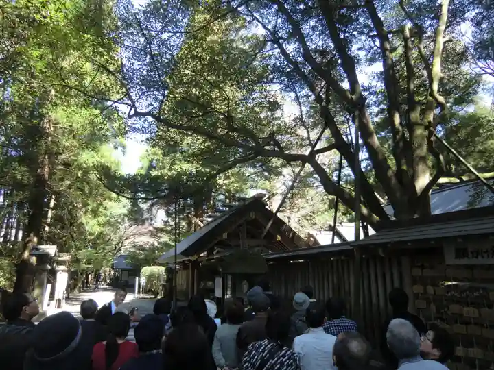 天岩戸神社(宮崎県)