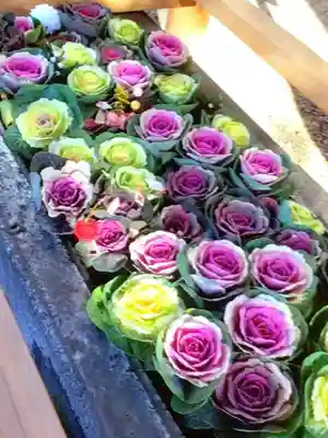 上目黒氷川神社(東京都)