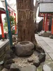 五柱五成神社の建物その他