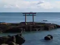 大洗磯前神社の自然