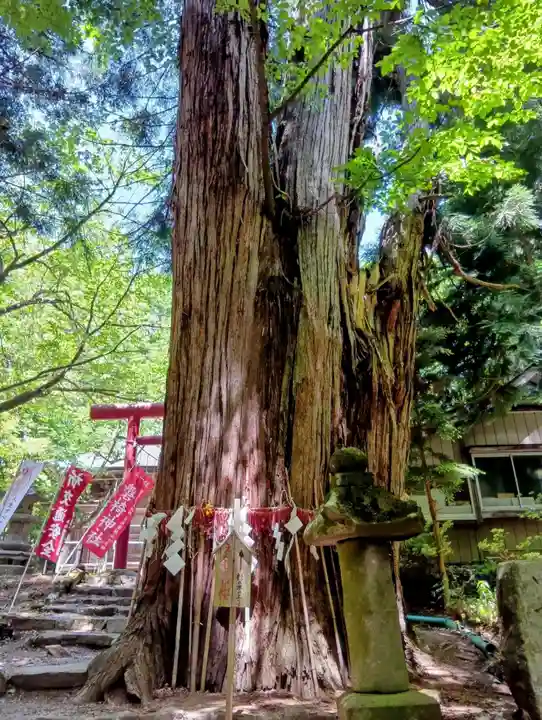 磐椅神社(福島県)