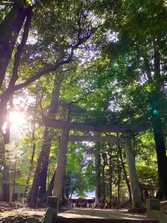 鴨鳥五所神社(茨城県)