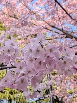 神明氷川神社(東京都)