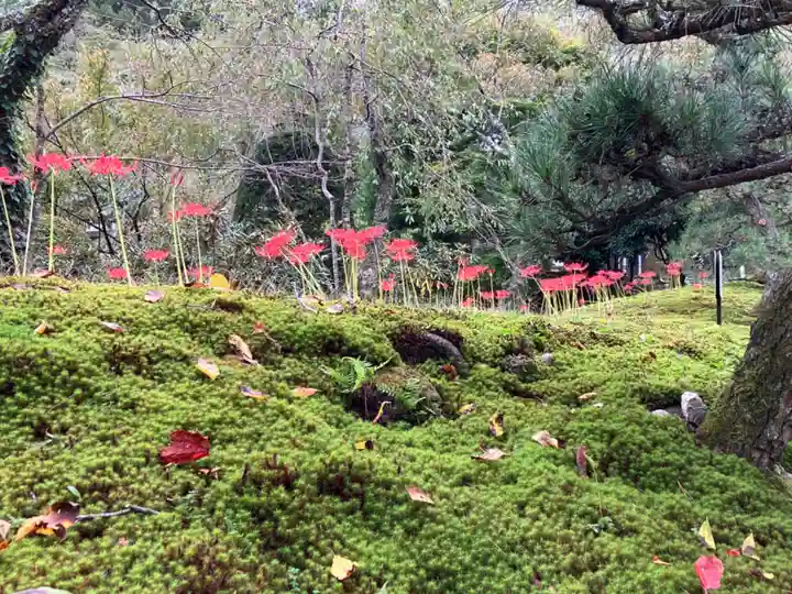 宝積山光前寺(長野県)