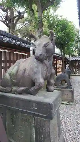牛嶋神社の狛犬