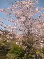 鶴岡八幡宮の自然