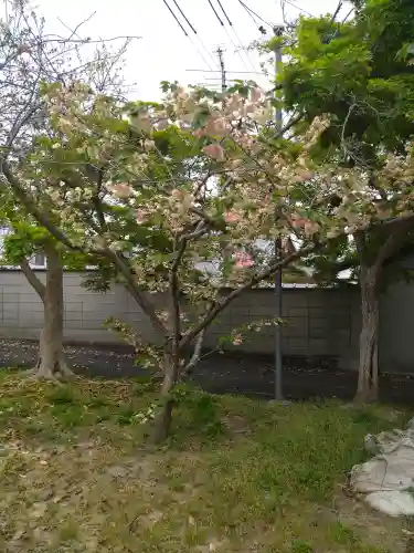 城山稲荷神社の自然