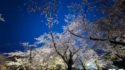 平野神社(京都府)