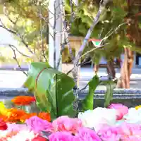 三津厳島神社の手水舎