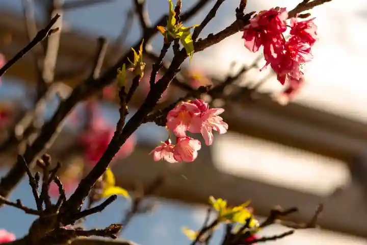 宮古神社(沖縄県)