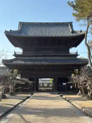 大樹寺（松安院大樹寺）の{uncategorized: "未分類", other: "その他", undefined: "問題あり", building: "その他建物", grave: "お墓", sacred_gate: "鳥居", guardian: "狛犬", statue: "像", buddha: "仏像", history: "歴史", nature: "自然", garden: "庭園", animal: "動物", pagoda: "塔", temizu: "手水舎", mountain_gate: "山門・神門", sanctuary: "本殿・本堂", subordinate: "末社・摂社", art: "芸術", scenery: "景色", jizo: "地蔵", ema: "絵馬", goshuin: "御朱印", omikuji: "おみくじ", items: "授与品その他", amulet: "お守り", goshuincho: "御朱印帳", eats: "食事", festival: "お祭り", votive_dance: "神楽", shichigosan: "七五三参", wedding: "結婚式", experience: "体験その他", initially: "初詣", around: "周辺", anti_infection: "感染症対策"}